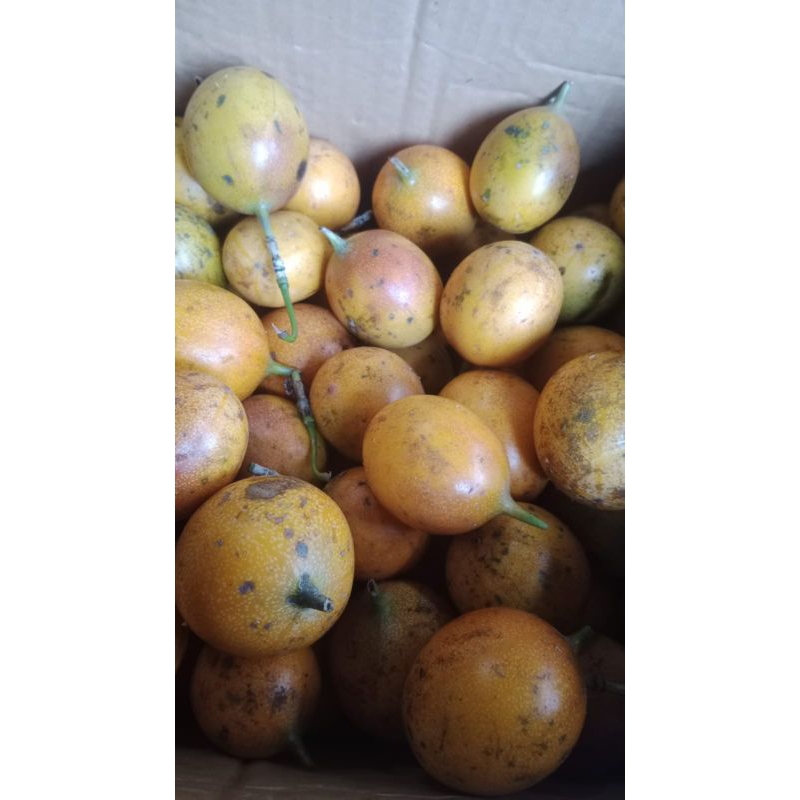 

promo 1kg konyal madu