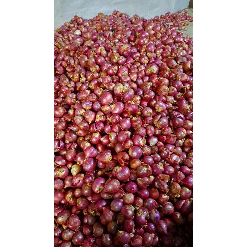 

BAWANG MERAH gofressby