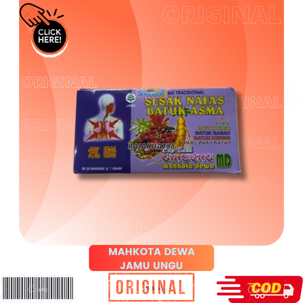 MAHKOTA DEWA SESAK NAFAS