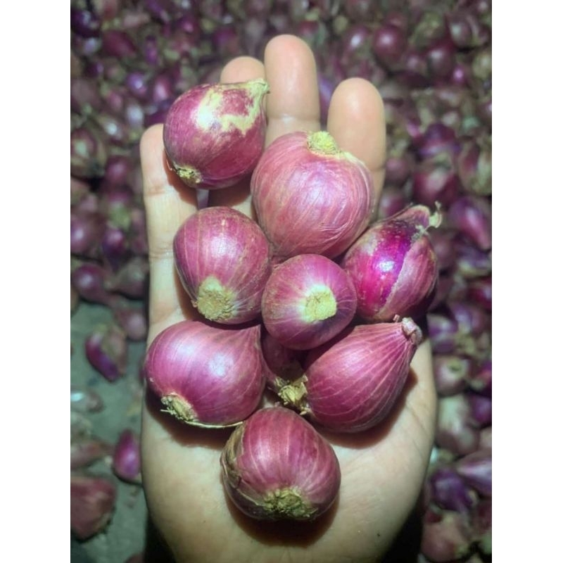 

BAWANG MERAH 1KG / BAMER KERING SUPER