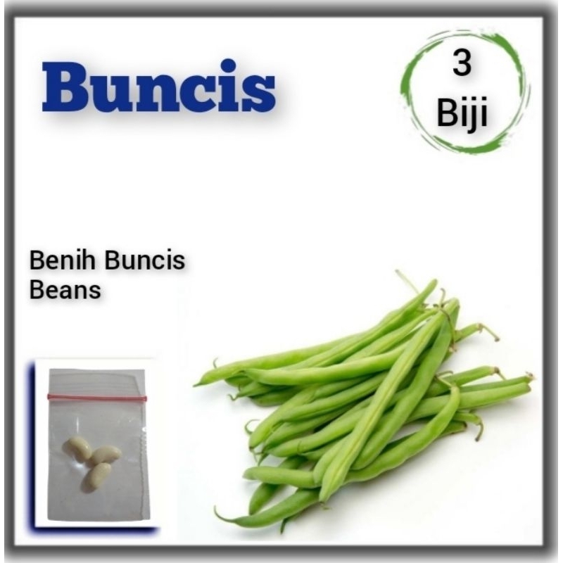 Benih Sayuran Buncis Putih Cap Panah Merah Bibit Tanaman Sayuran Buah