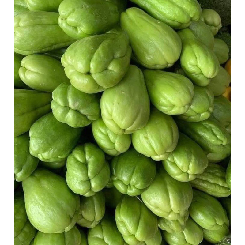 

Labu siam Segar Fresh Premium 250g-1kg [Instan]