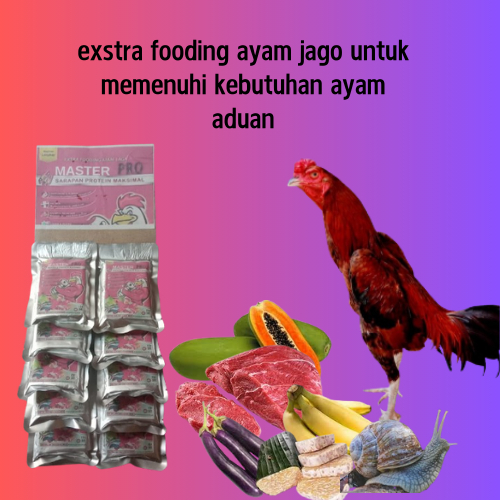 MASTER PRO 1 Renteng Jamu Ayam Jago Aduan Bangkok Thailand