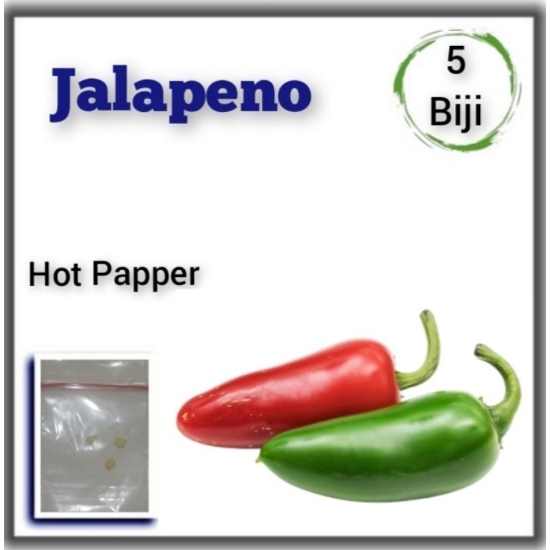 5 Benih Cabe Jalapeno Bibit Cabai Super Pedas