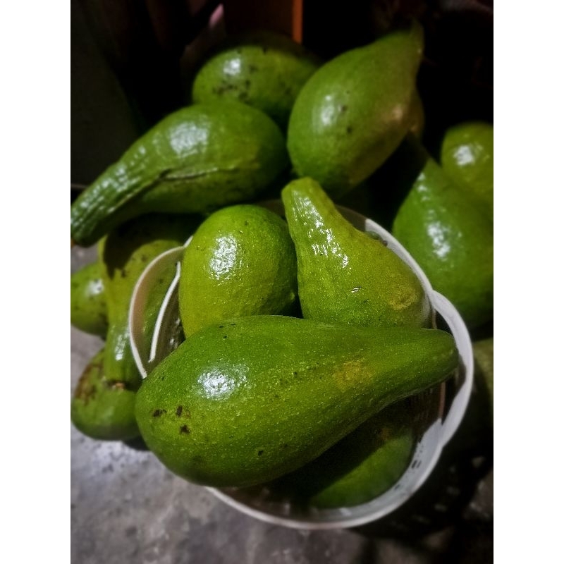 

buah alpukat mentega per kg