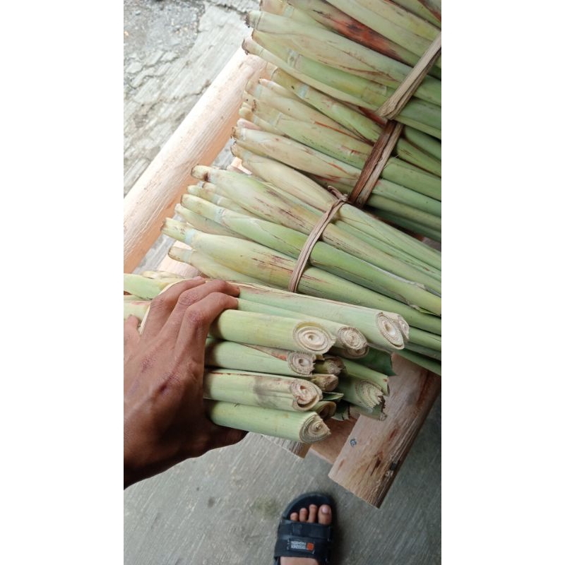 

Terubuk terubuk endog tiwu bunga telur telor tebu segar 1kg