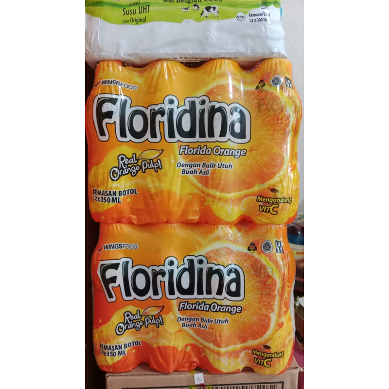 

Minuman Floridina jeruk 350ml