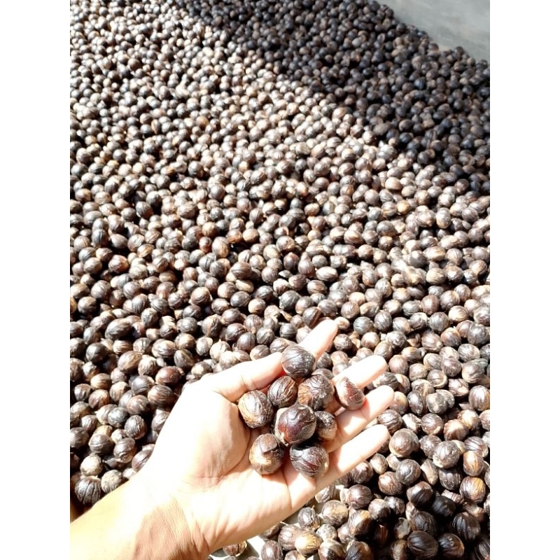 

Buah Pala Kualitas Super berat 1Kg