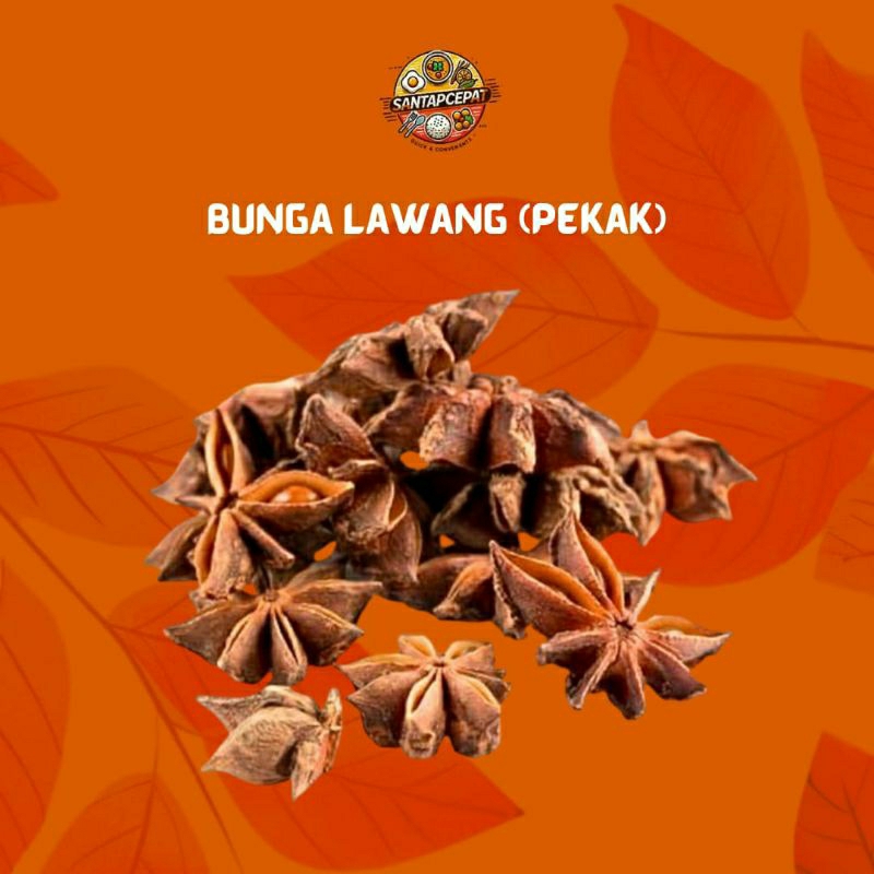 

Bumbu Rempah Bunga Lawang 10 gram – Sentuhan Aromatik untuk Hidangan Spesial