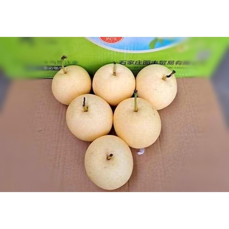 

Buah pir / pear century 1 kg fresh segar murah