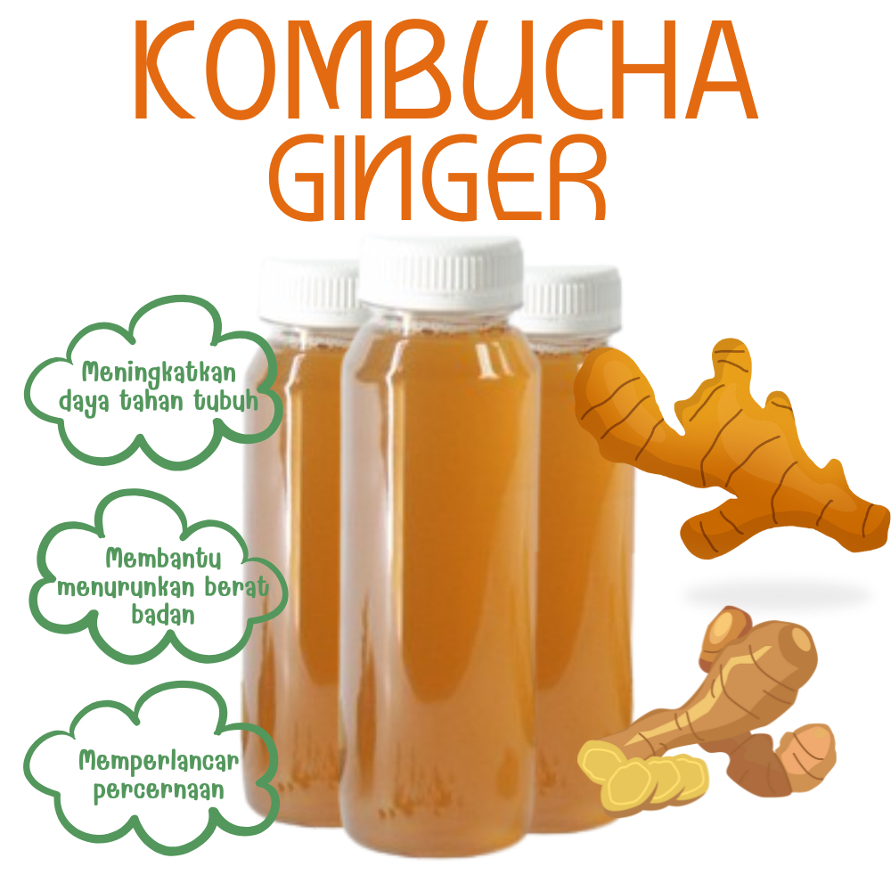 

3 pcs Kombucha Jahe 250ML