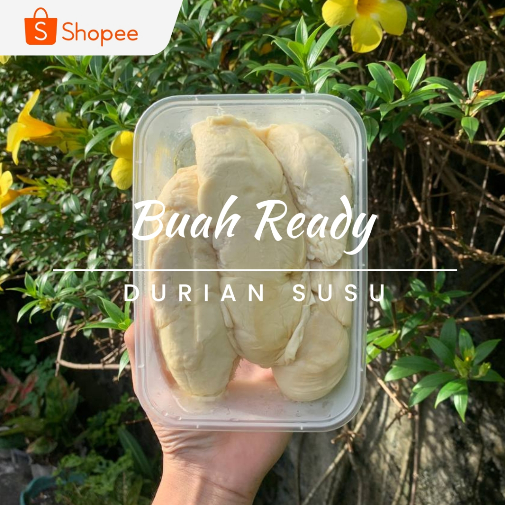 

DURIAN SUSU GRADE B - ISI 4 BOX - 500GR