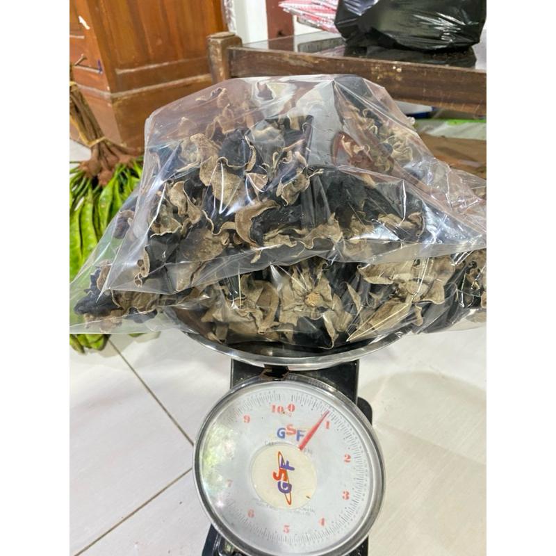 

JAMUR KUPING ASLI WONOGIRI GRADE A