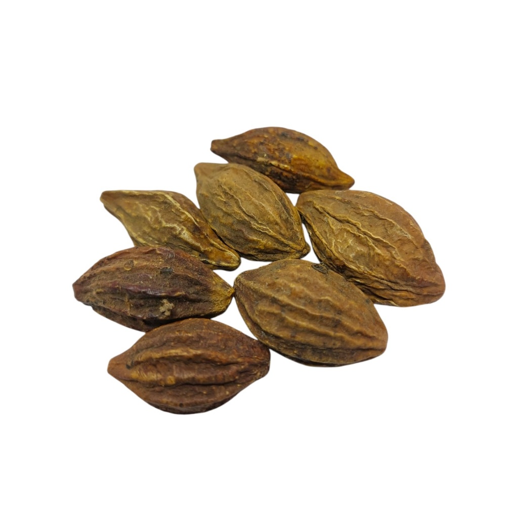 

Lu Ke Zi He Zi Untuk Meredakan Batuk dan Suara Hilang Herbal