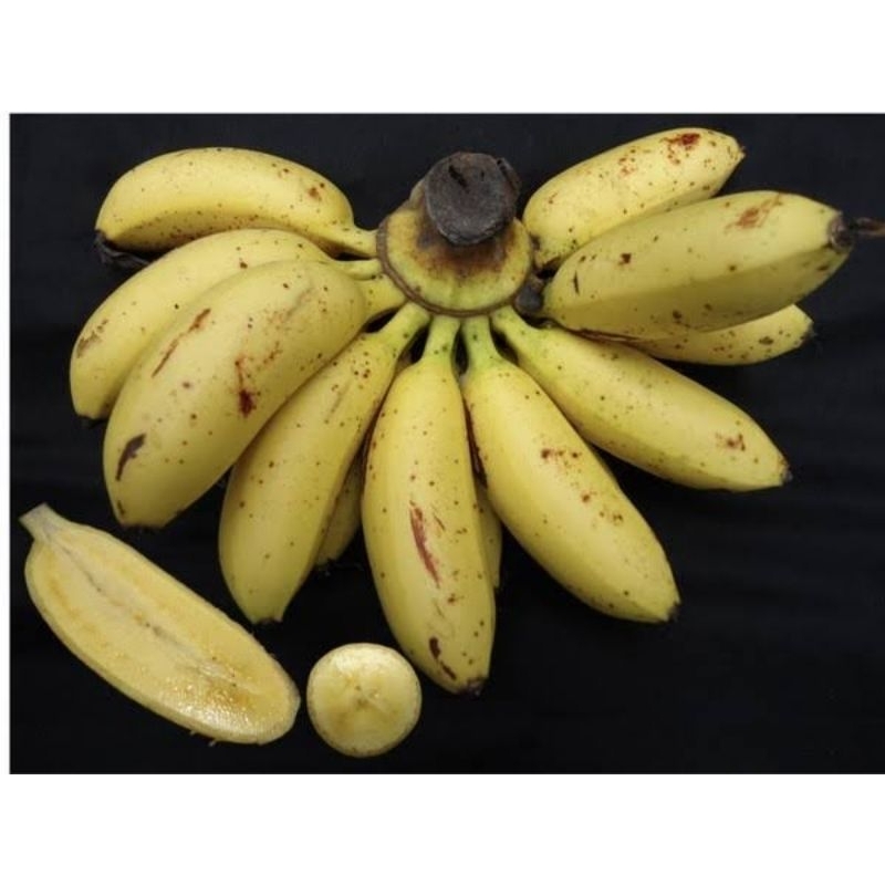 

pisang