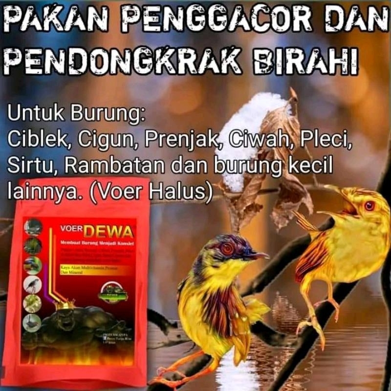 VOER DEWA PUR HALUS PAKAN BURUNG CIBLEK PLECI KOLIBRI SIRTU HIGH PROTEIN DOSIS TINGGI VRDEWA ISI 160