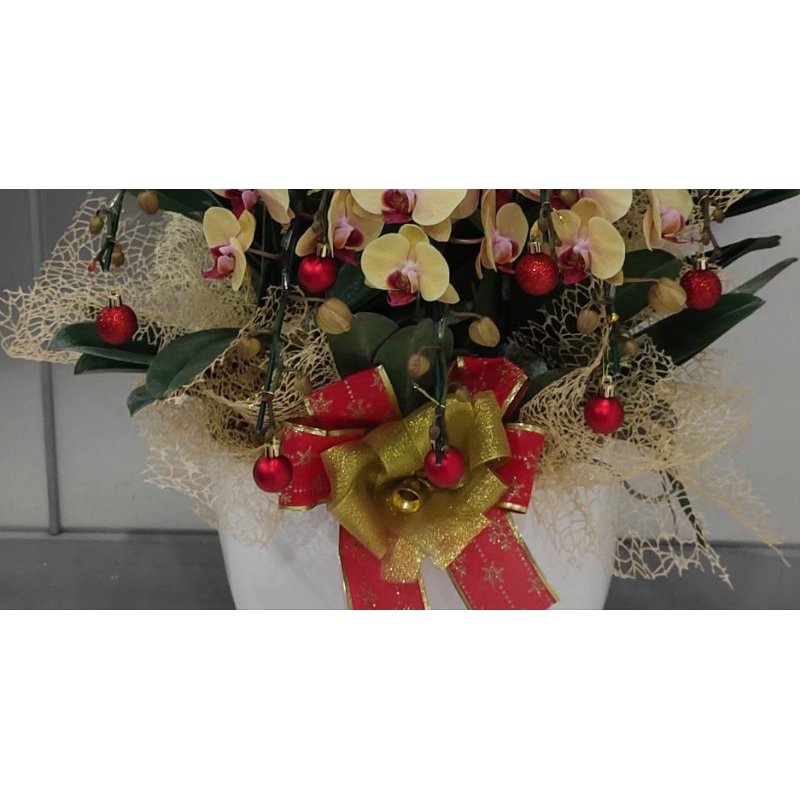 

Tambahan Aksesoris Kain Tile/Flower Wrap Untuk Rangkaian Anggrek