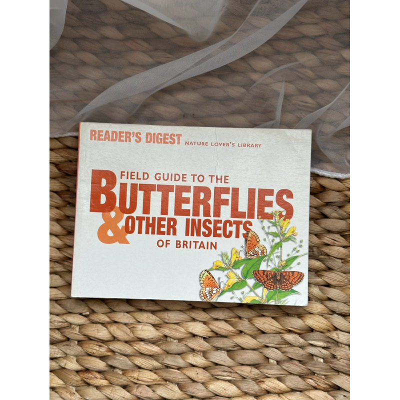 field guide to butterflies and insects of britain
