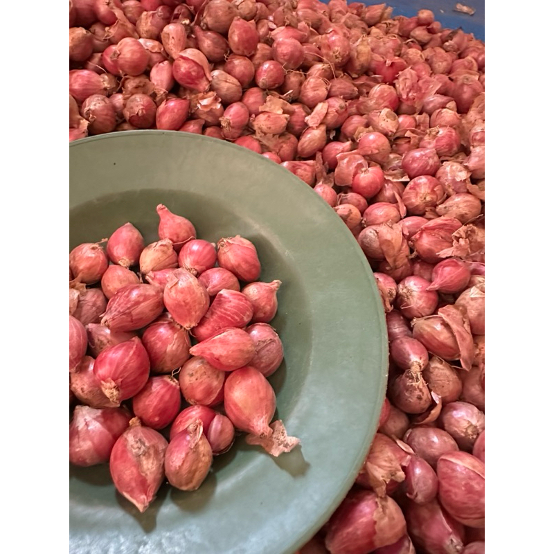 

bawang merah ukuran KECIL 1kg