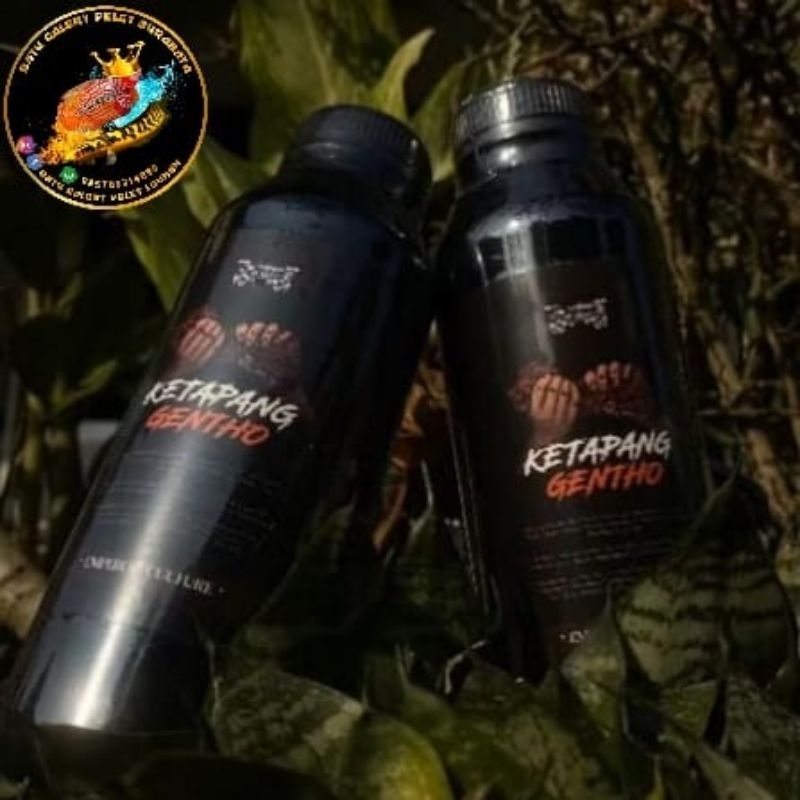 EKSTRAK KETAPANG GENTHO 500ml Original by Tobil