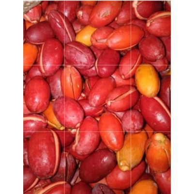 

READY stock KULIT MELINJO SEGAR | MELINJO SUPER (1KG) ASLI | SIAP KIRIM SELALU FRESH