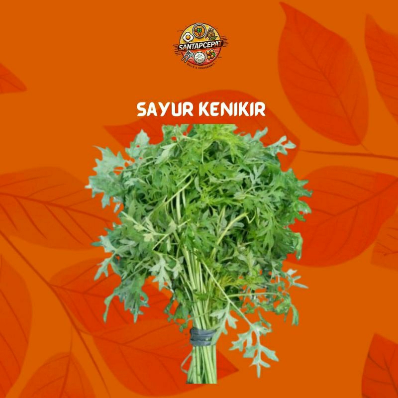 

Sayur Kenikir Segar – Hidangan Sehat dengan Rasa Alami