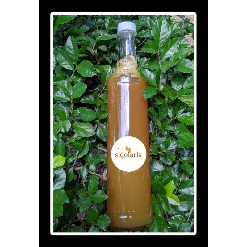 

Madu Murni 100% by Sidolaris