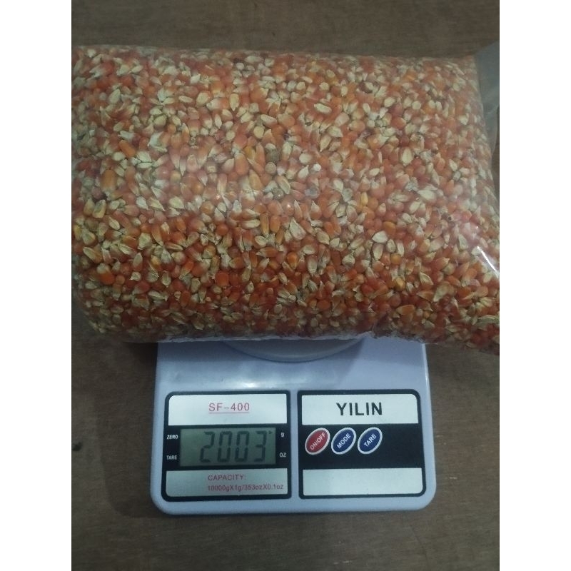 jagung keristal pakan merpati/burung dara 2kg