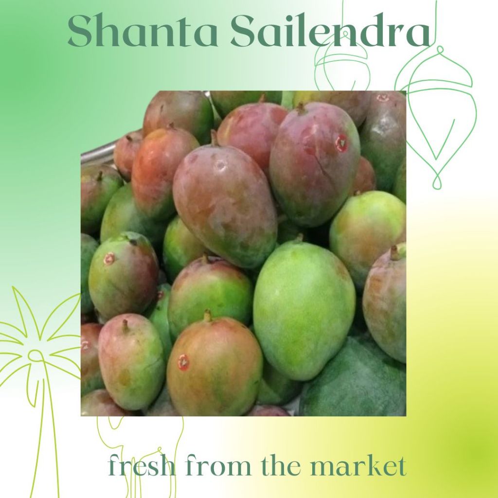 

MANGGA BRAZIL 1 KG