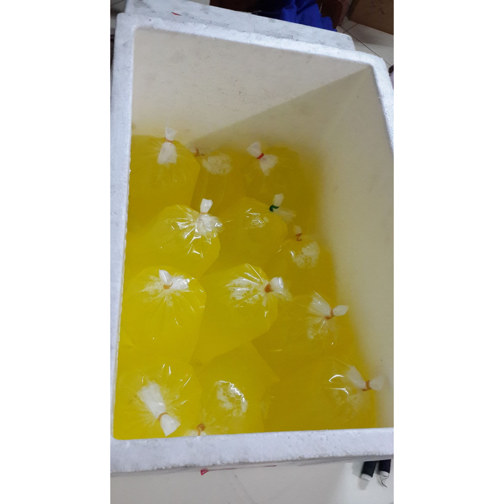 

PUTIH TELUR MENTAH FRESH UNTUK SUMBER PROTEIN KEBUTUHAN PANGAN OLAHAN