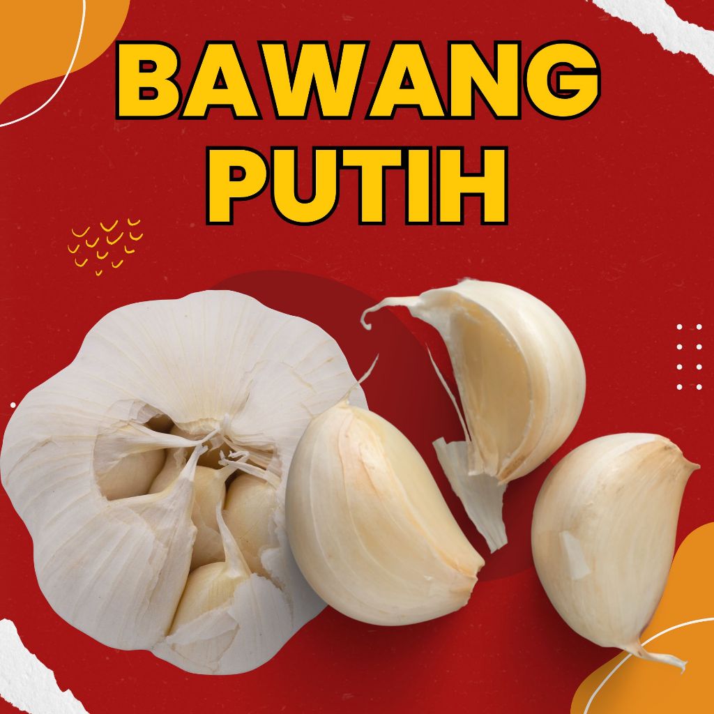

BAWANG PUTIH / 500 GRAM