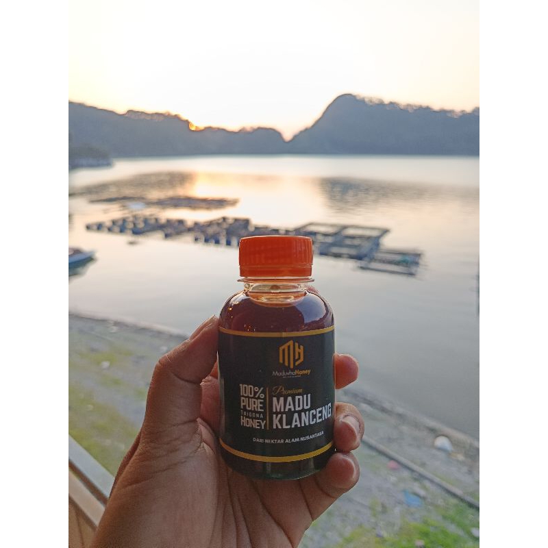 

Madu Klanceng Asli | Madu Kelulut | Madu Trigona
