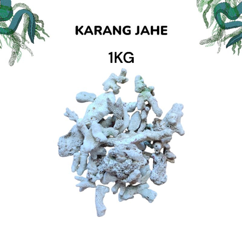 Karang jahe 1 kg/karang jahe/ batu karang jahe 1kg/ batu karang jahe