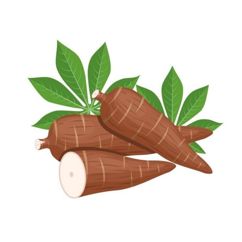 

tepung kulit singkong 100g