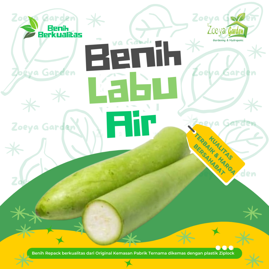 Biji /  Seed / Bibit / Benih Labu Air / Labu Sayur