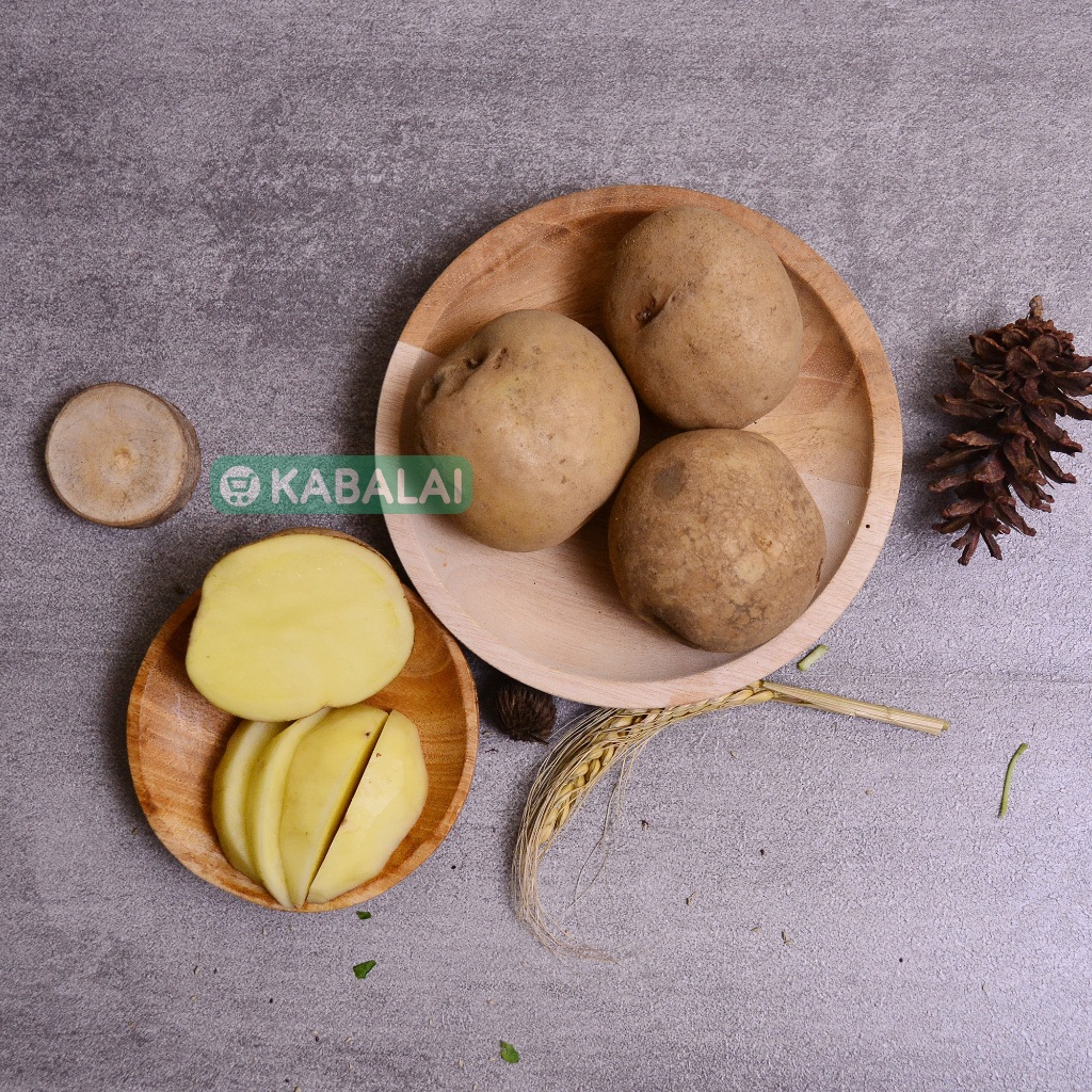 

Kentang Segar - Fresh Premium Quality - Kabalai