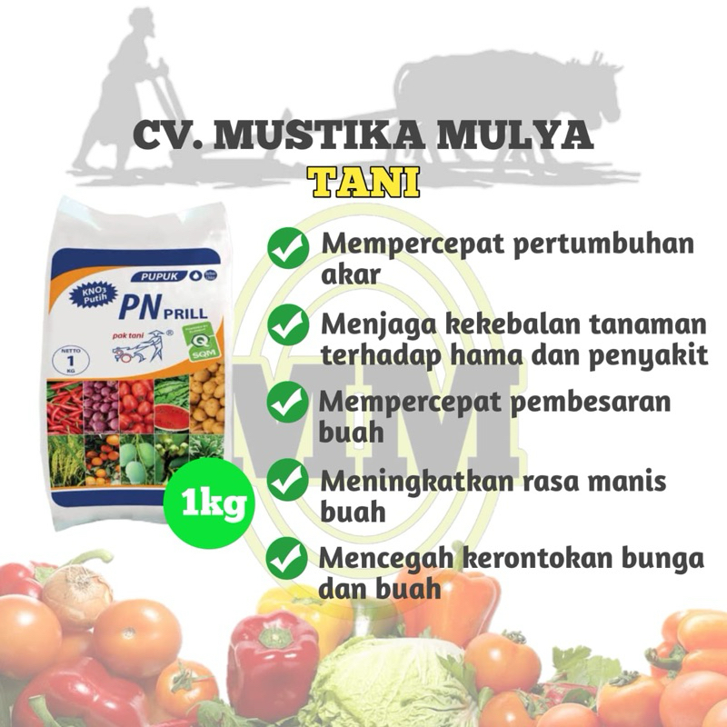 KNO PUTIH PN PRILL PAK TANI