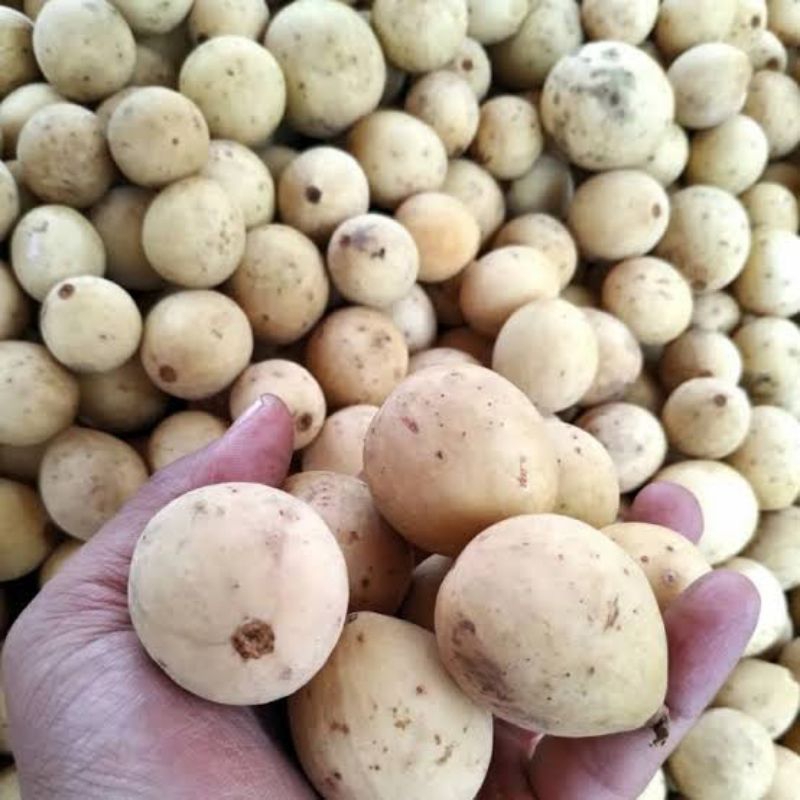 

dukuh palembang asli manis 1kg