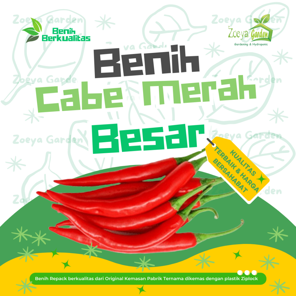 Biji / Seed / Bibit / Benih Cabe / Cabai Merah Besar / Chili Pepper Hybrid