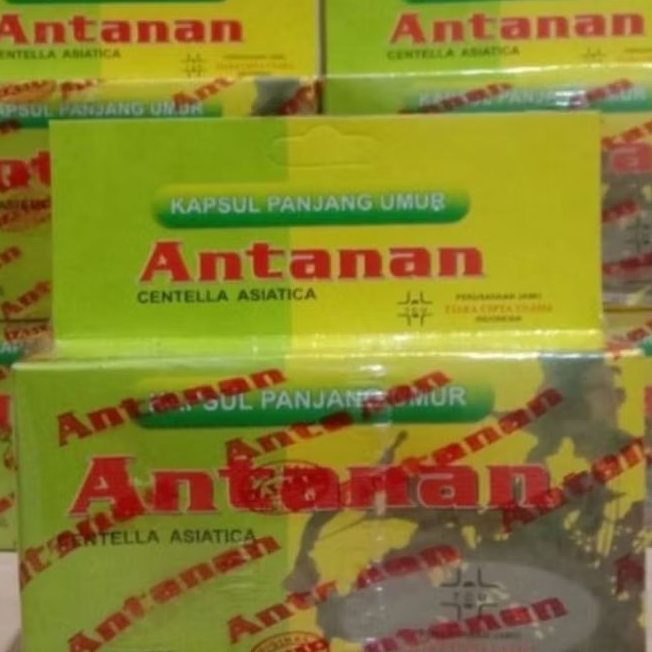 

ANTANAN kapsul original