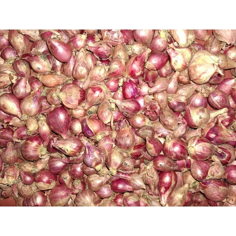 

Bawang merah Lokal 480gr