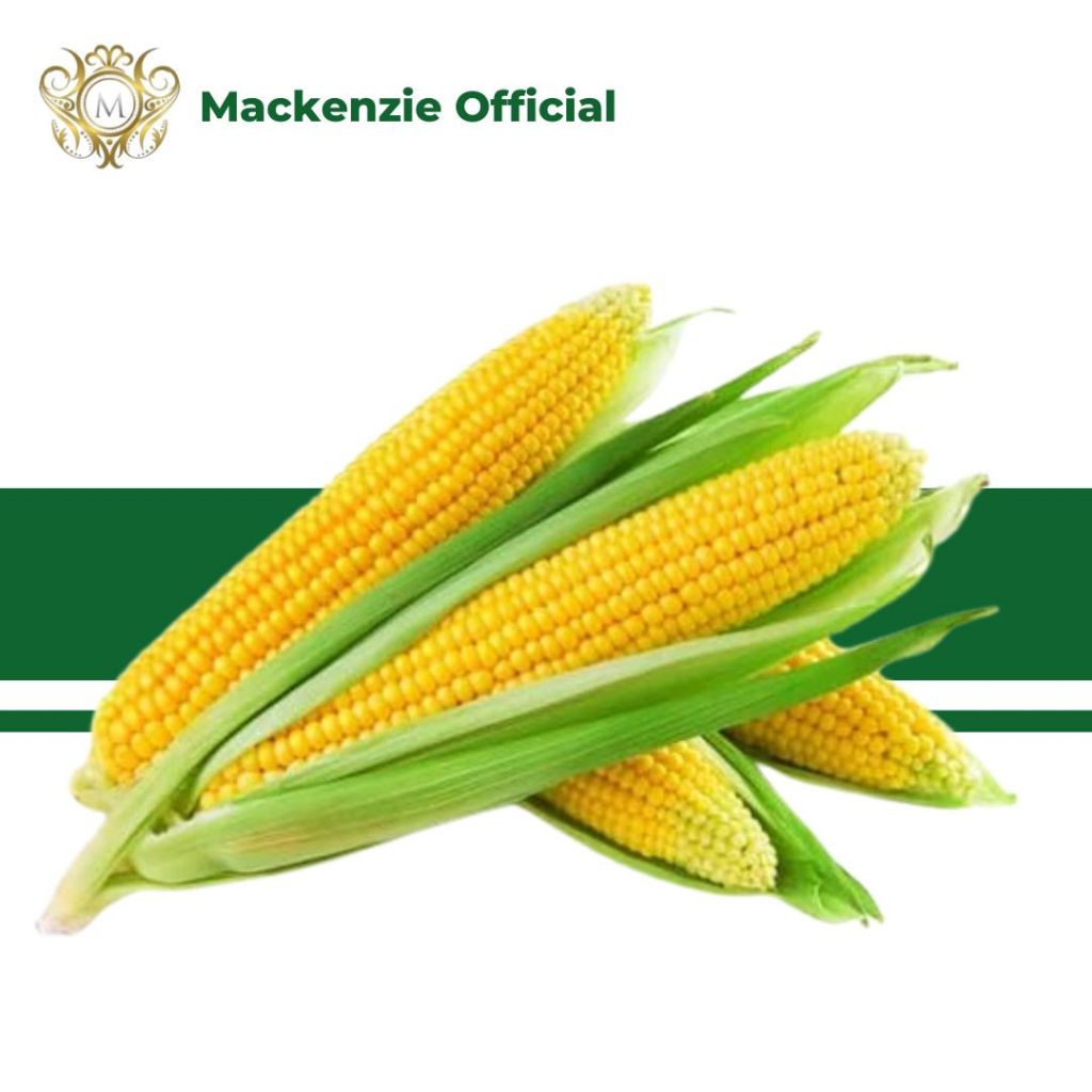 

Jagung Manis - 500Gr