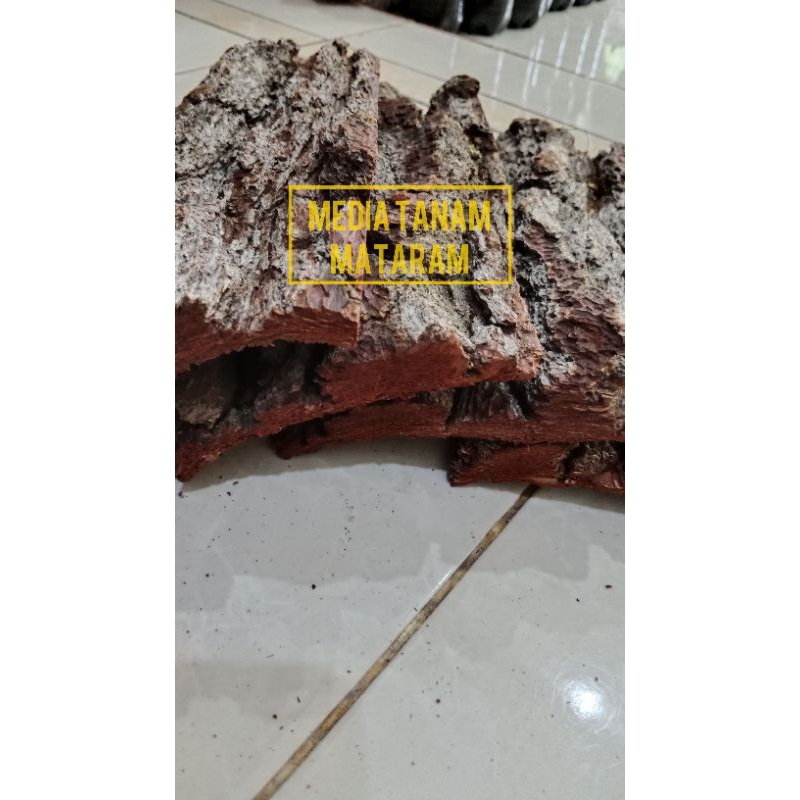 Kulit Pinus | Lempeng Kulit Pinus | Media Tanam Anggrek