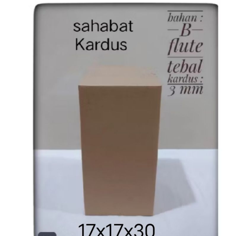 

kardus box Ukuran 17x17x30 cm single wall polos