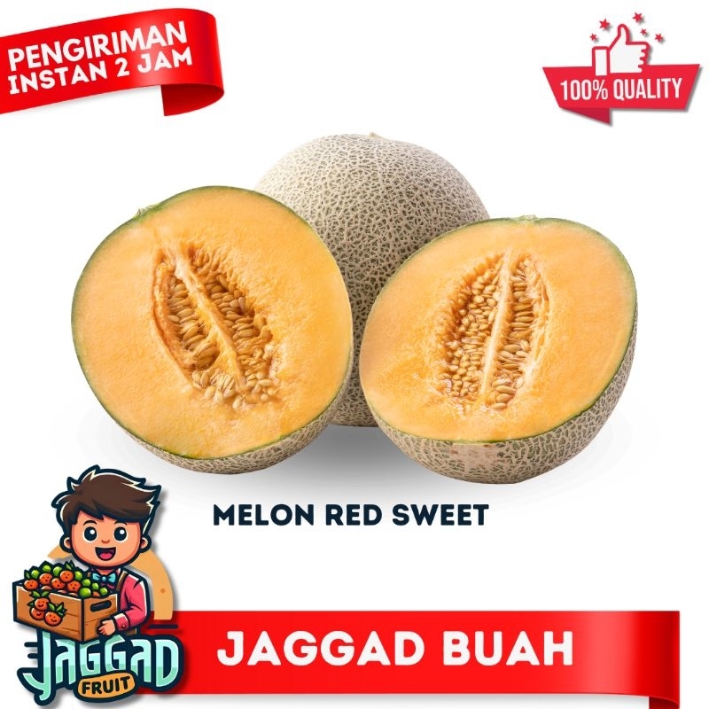 

Melon Red Sweet 1 Buah 1.5 - 2kg Segar Organik Jaggad Fruit