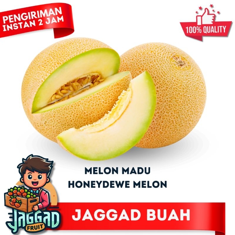 

Melon Madu | 1.5 - 2kg Honeydew Melon Segar Organik Jaggad Fruit