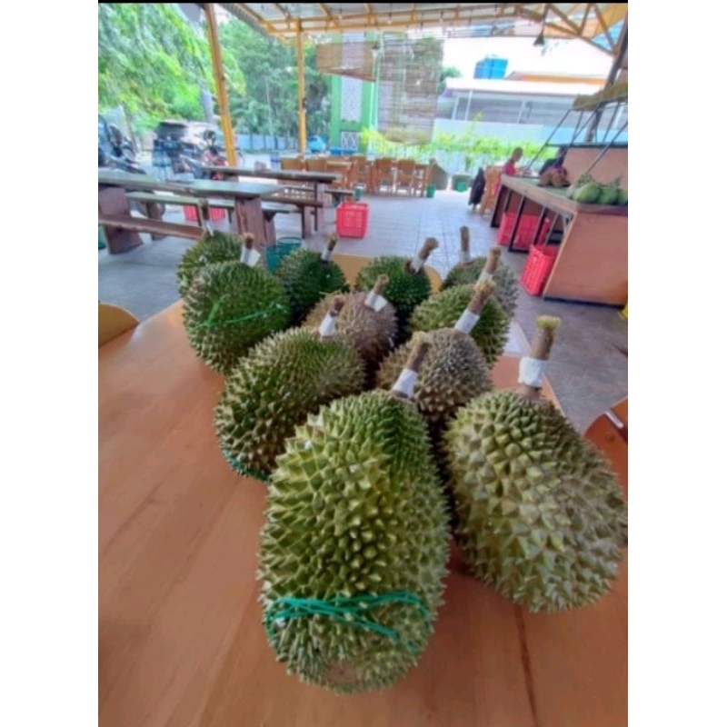 

DURIAN MUSANG FRESH