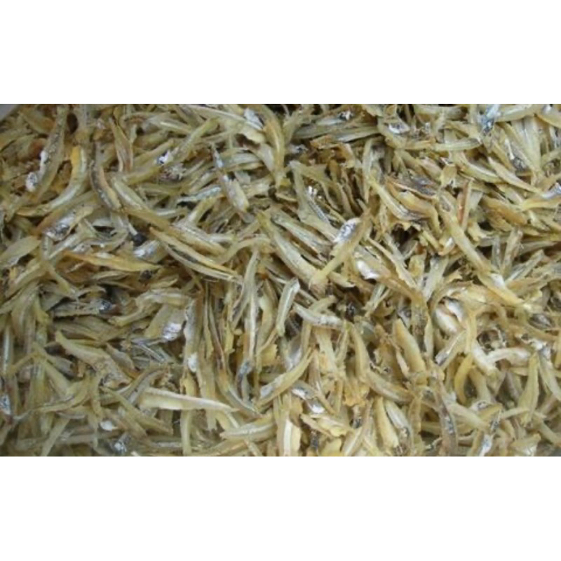 

ikan tri belawan
