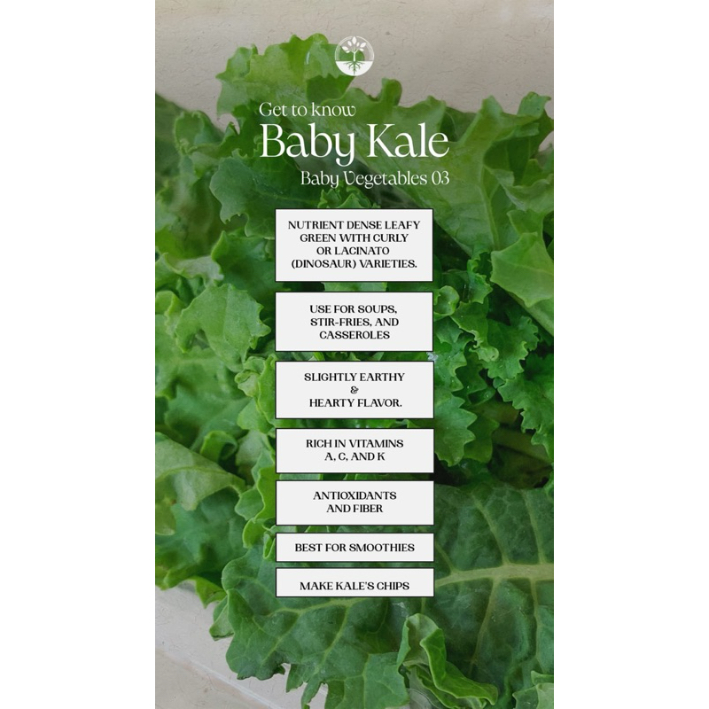 

Baby Vegetables Baby Kale Akar Wangi