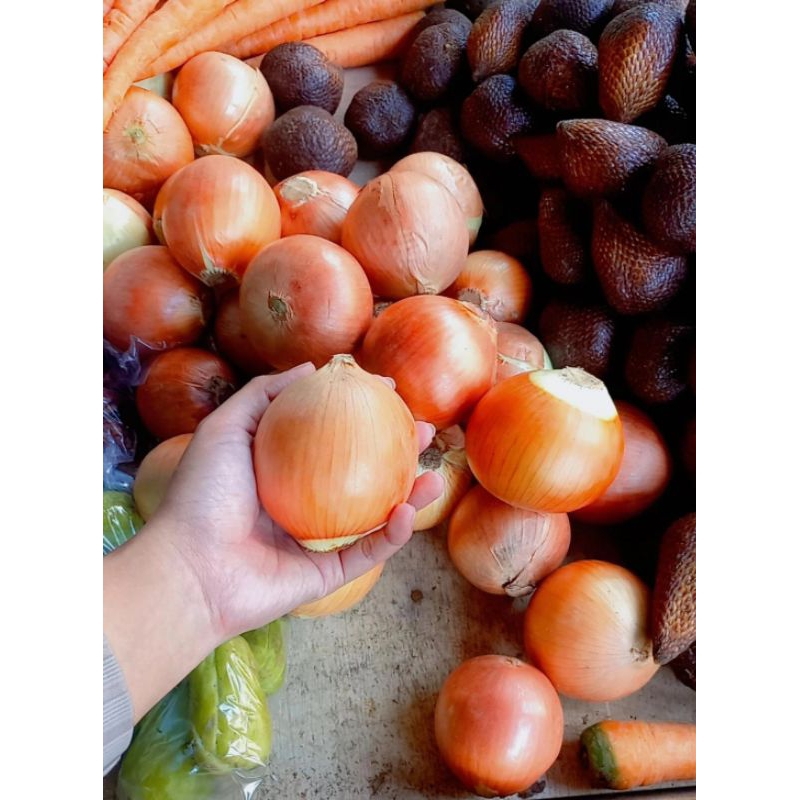 

Bawang bombay 1 biji 5000
